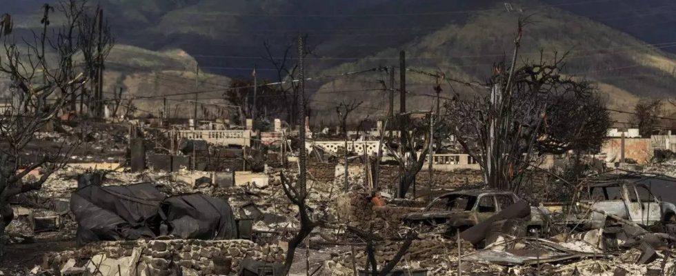 Erste Kongressanhoerung zum Waldbrand auf Maui die sich auf den