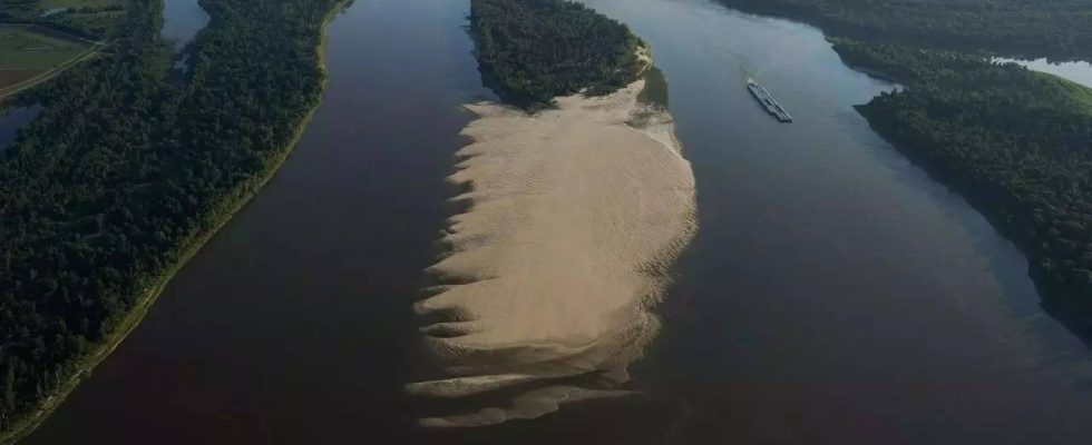 Mississippi Mississippi nahe historischen Tiefststaenden Getreideexporte gefaehrdet