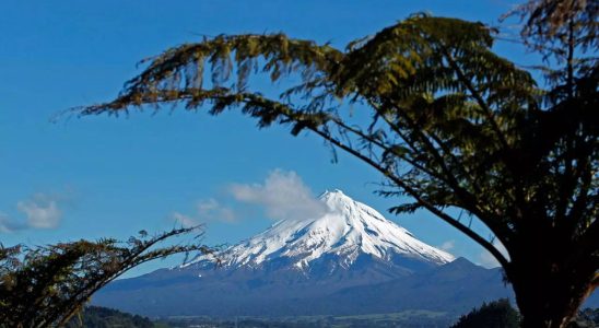 Neuseeland Bergsteiger ueberlebt 1970 Fuss Sturz vom neuseelaendischen Berg