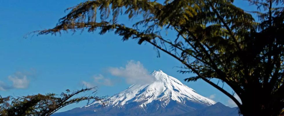 Neuseeland Bergsteiger ueberlebt 1970 Fuss Sturz vom neuseelaendischen Berg