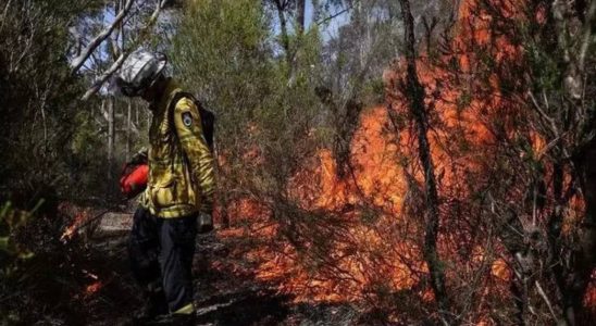 Riesiges Buschfeuer wuetet in Zentralaustralien in der Naehe einer beliebten