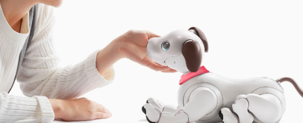 Sony wird dabei helfen fuer seine alternden Roboterhunde ein neues