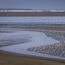 Wattenmeer droht durch Salz und Gasfoerderung den UNESCO Status zu verlieren