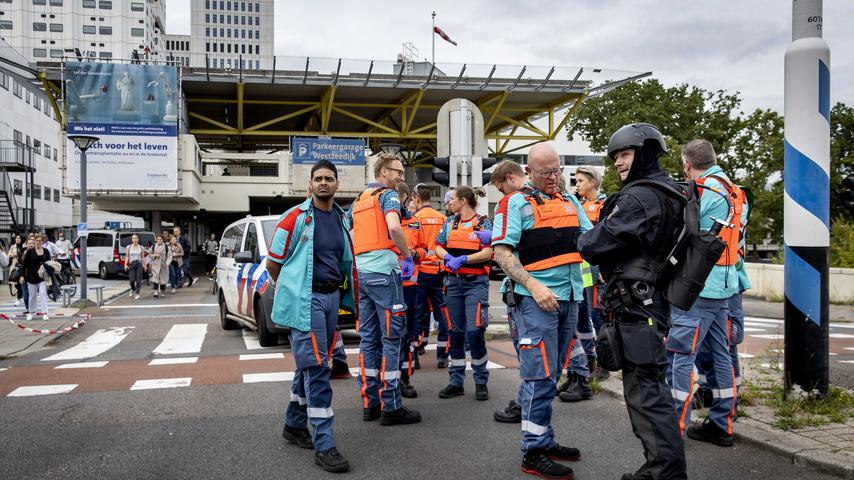 Wie wir Sie ueber die Situation in Rotterdam auf dem