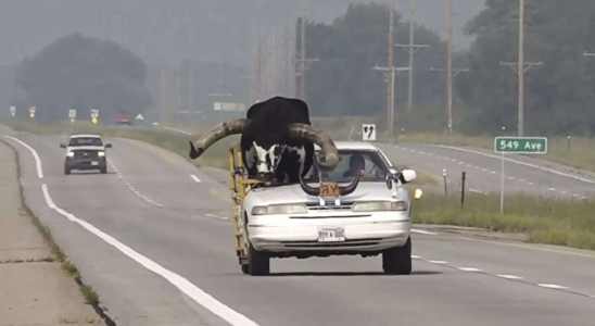 „Howdy Doody Die Polizei haelt einen Mann aus Nebraska an