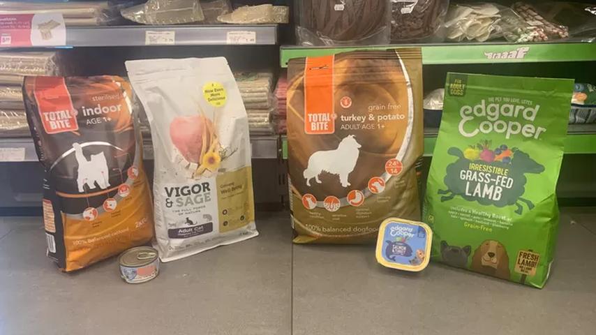 1696517458 482 Hunde und Katzen bei glutenfreier Ernaehrung wie weit gehen Sie