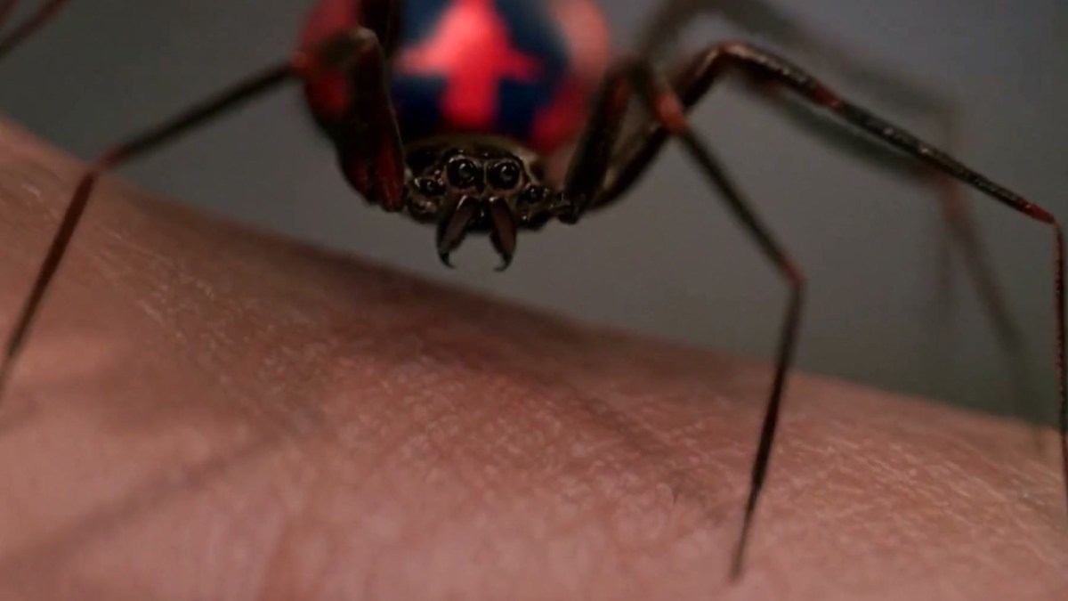   Araneus Oscorpeus-Spinne in Spider-Man