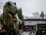 Voor het eerst veren van dinosaurussen te zien in Nederland