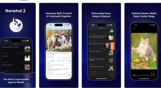 Die Drittanbieter Reddit App Narwhal hofft die App Saeuberung von Reddit mit einem