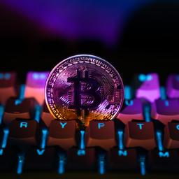 Erster Quartalsverlust des Jahres fuer den Bitcoin Preis Wirtschaft