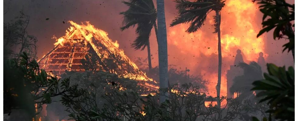 Evakuierte leben nach dem Waldbrand auf Maui als Nomaden da