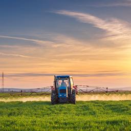 Gelbe Felder und groesserer Osten warum Glyphosat so umstritten ist