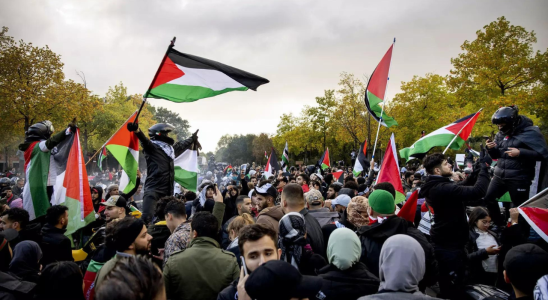 Krieg Tausende marschieren in Amsterdam zur Unterstuetzung der Palaestinenser