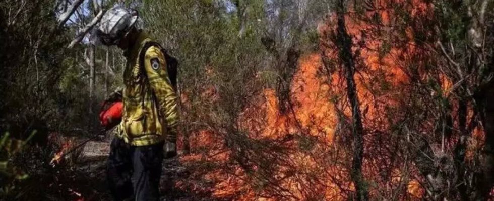 Laendliches Australien Anwohner im laendlichen Australien werden wegen der wuetenden