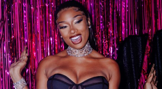 Megan Thee Stallion teilt neues Lied von Dicks The Musical