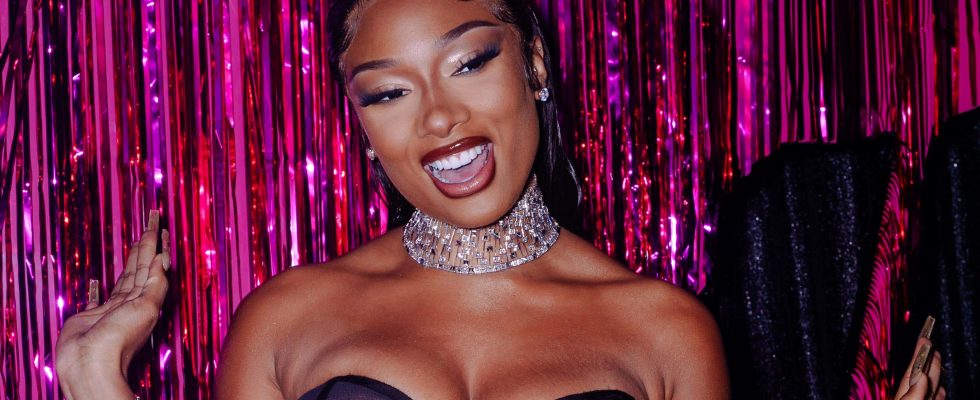 Megan Thee Stallion teilt neues Lied von Dicks The Musical