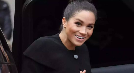 Meghan Markle ist zu duennhaeutig um Politikerin zu sein Royal Experte