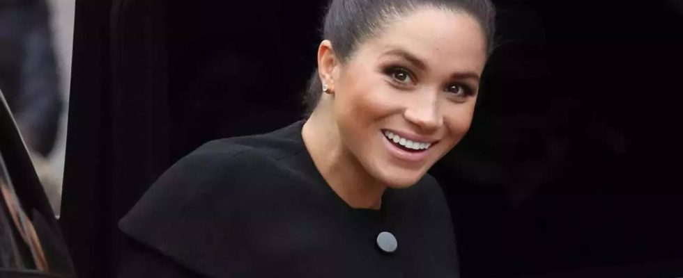 Meghan Markle ist zu duennhaeutig um Politikerin zu sein Royal Experte