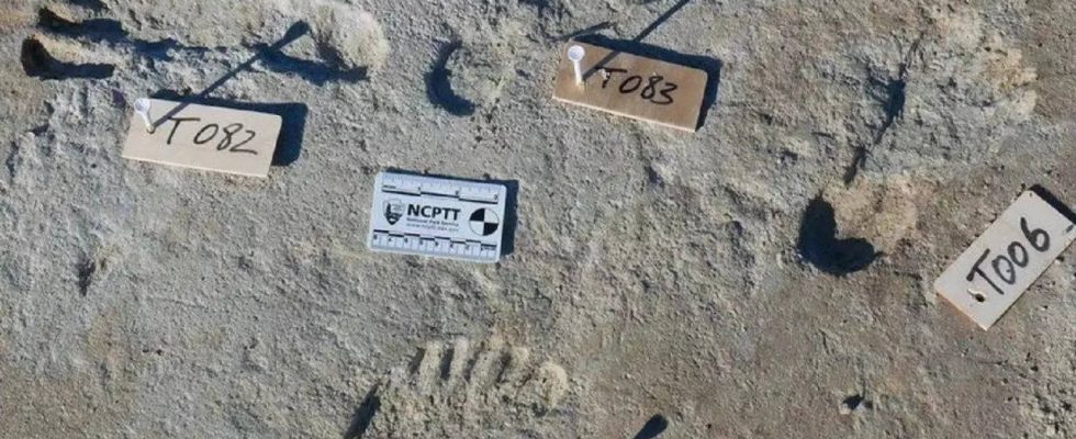 New Mexico In New Mexico gefundene fossile Fussabdruecke deuten darauf