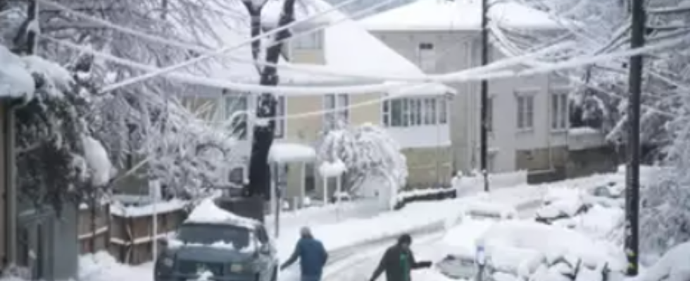 Schneefall Zwei US Staedte erleben den groessten Halloween Schneefall seit ueber drei