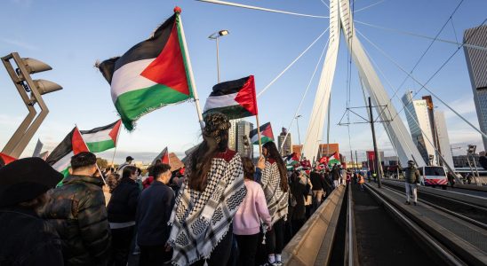 Tausende Demonstranten gehen in Rotterdam fuer den Gazastreifen auf die