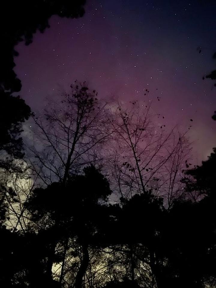 1699217955 249 Nordlichter sind an verschiedenen Orten in den Niederlanden deutlich sichtbar