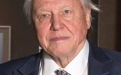 Attenborough David Attenborough ist mit der von der KI erstellten