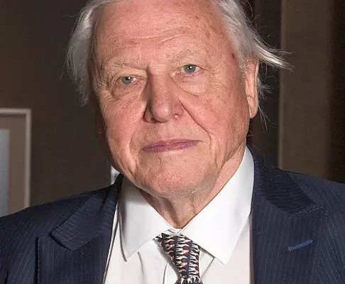 Attenborough David Attenborough ist mit der von der KI erstellten