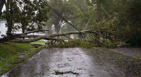 Bulgarien Zwei Tote bei stuermischen Winden ueber Bulgarien und Rumaenien