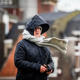 Code Gelb fuer Nord und Suedholland aufgrund starker Regenfaelle