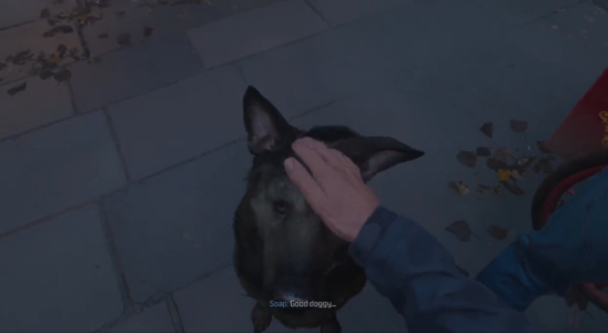 Darf man den Hund in Call of Duty Modern Warfare