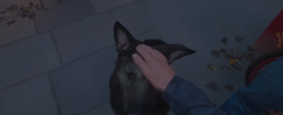 Darf man den Hund in Call of Duty Modern Warfare