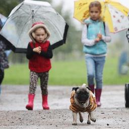 Der ruhige Sonntag wird nicht weitergehen Stuermisches Herbstwetter steht vor