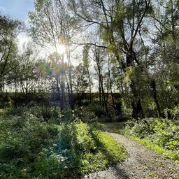 Endlich koennen Sie Ihren Regenmantel fast ueberall zu Hause lassen