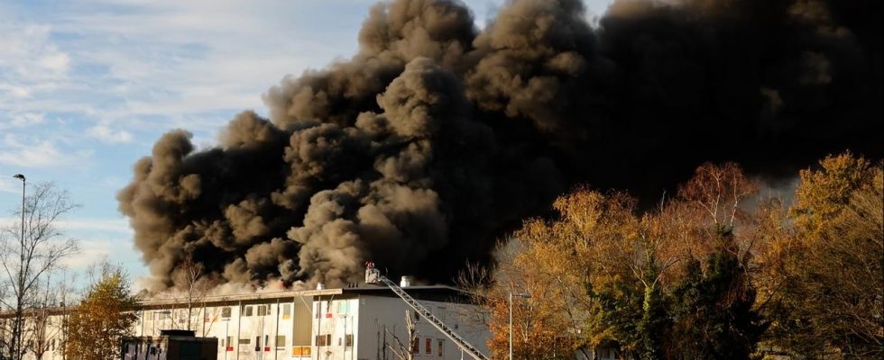 Freispruch wegen Brandstiftung in Amsterdamer Containerhaeusern Inlaendisch