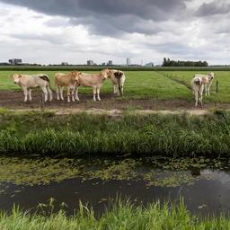 Gemeinde macht „Energiecowboys auf landwirtschaftlichen Flaechen einen Riegel vor