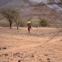 Geschieht der Klimawandel noch schneller als gedacht Top Wissenschaftler befuerchtet dies