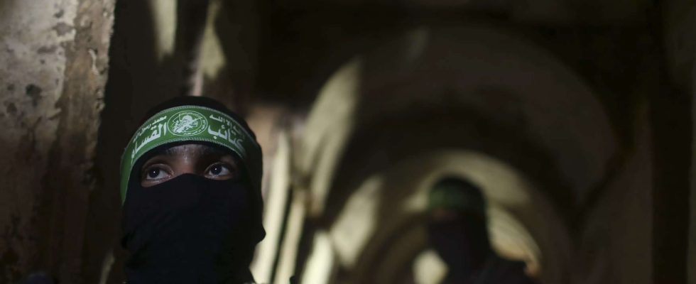 Hamas Israel greift Hamas Tunnel mit Kampfhunden und „Schwammbomben an