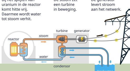 Heiliger Gral oder umstrittenes Thema Alle Ihre Fragen zur Kernenergie