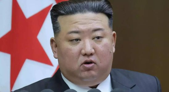 Kim Jong Un sieht in Russlands Waffen eine groessere Cash Cow