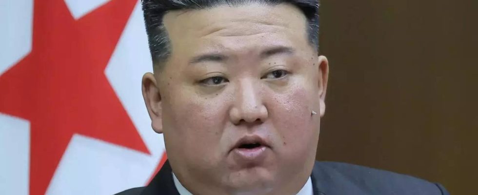 Kim Jong Un sieht in Russlands Waffen eine groessere Cash Cow