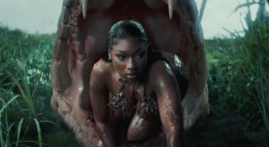 Megan Thee Stallion rappt in „Cobra ueber Depressionen und Trauer