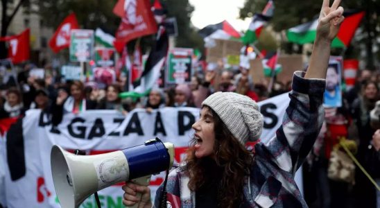 Palaestina Pariser Demonstranten fordern Waffenstillstand im Gazastreifen