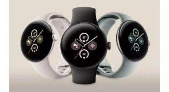 Pixel Watch 2 Benutzer der Pixel Watch 2 melden ein