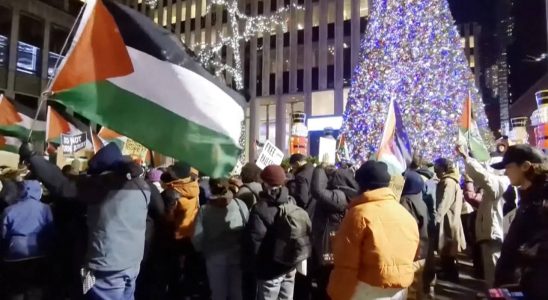 Pro palaestinensische Demonstranten stossen in New York zusammen und entfalten das