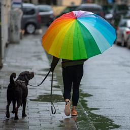 Regen Regen und noch mehr Regen Wettervorhersage