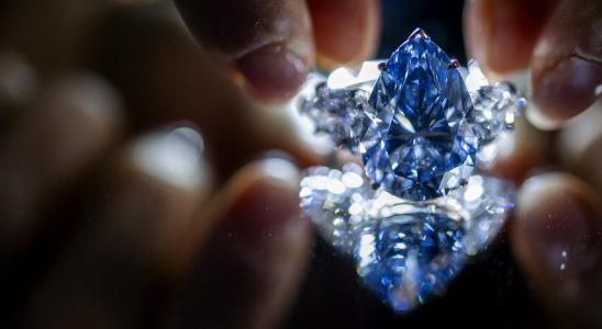 Sie koennen den groessten blauen Diamanten aller Zeiten kaufen fuer