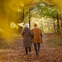 Sonne und Regen wechseln sich an einem ruhigen Herbsttag ab