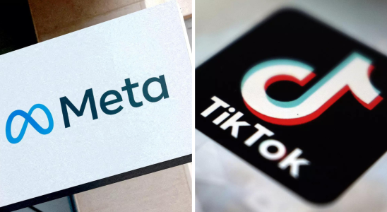 TikTok US Senatoren erwarten dass die CEOs von Meta und TikTok