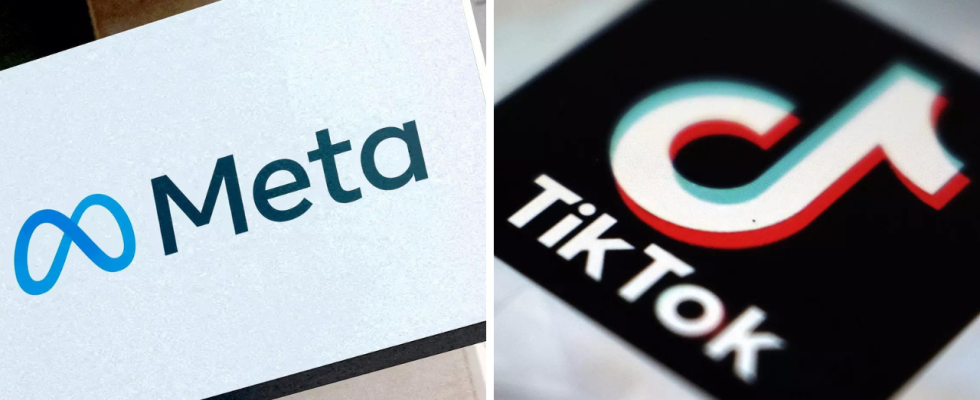 TikTok US Senatoren erwarten dass die CEOs von Meta und TikTok